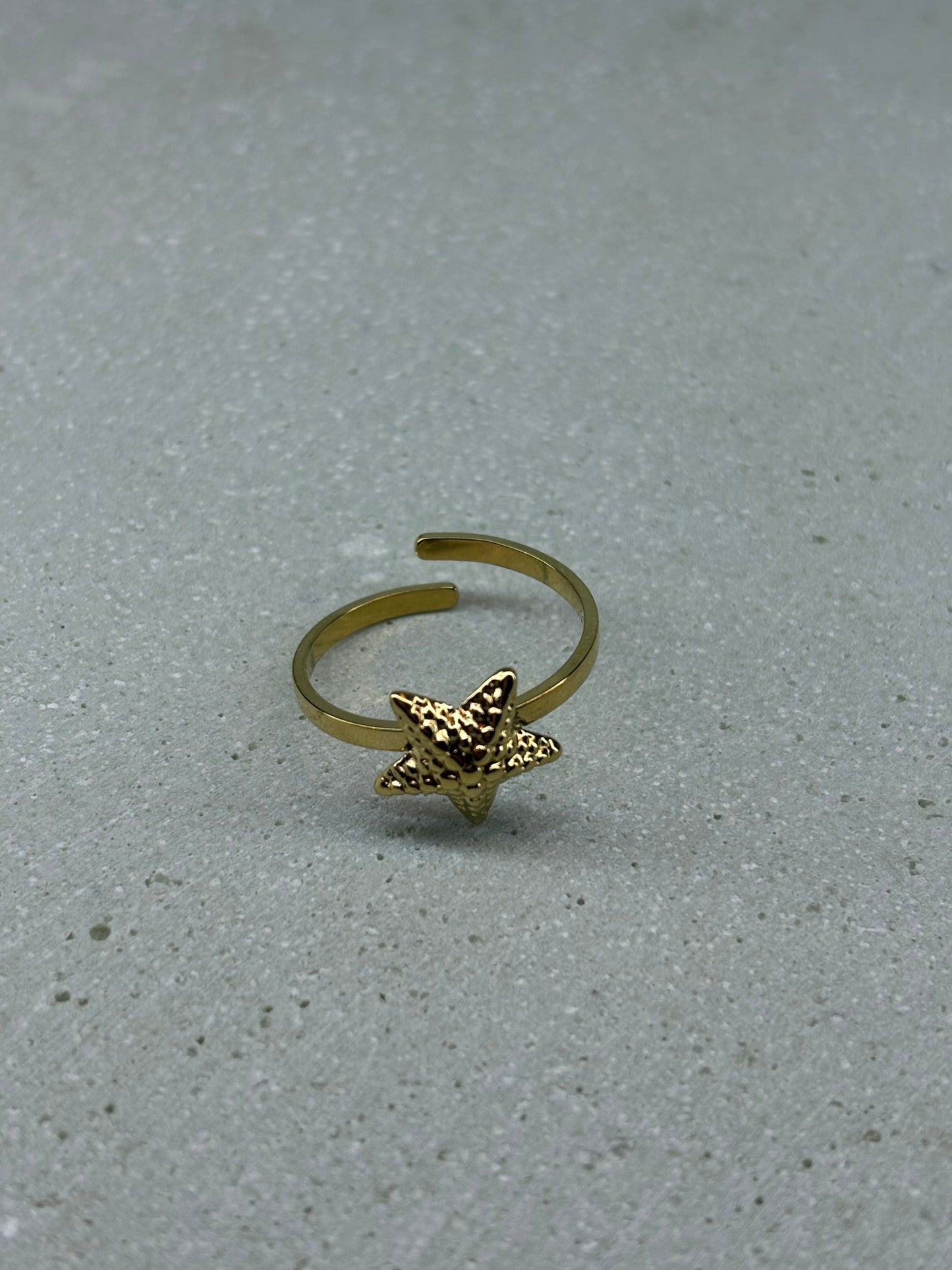 Seestern Verstellbar