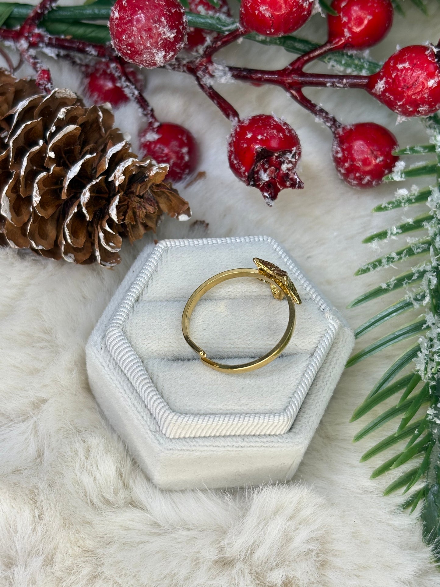 Seestern Verstellbar