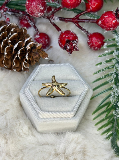 Seestern Verstellbar 2.0