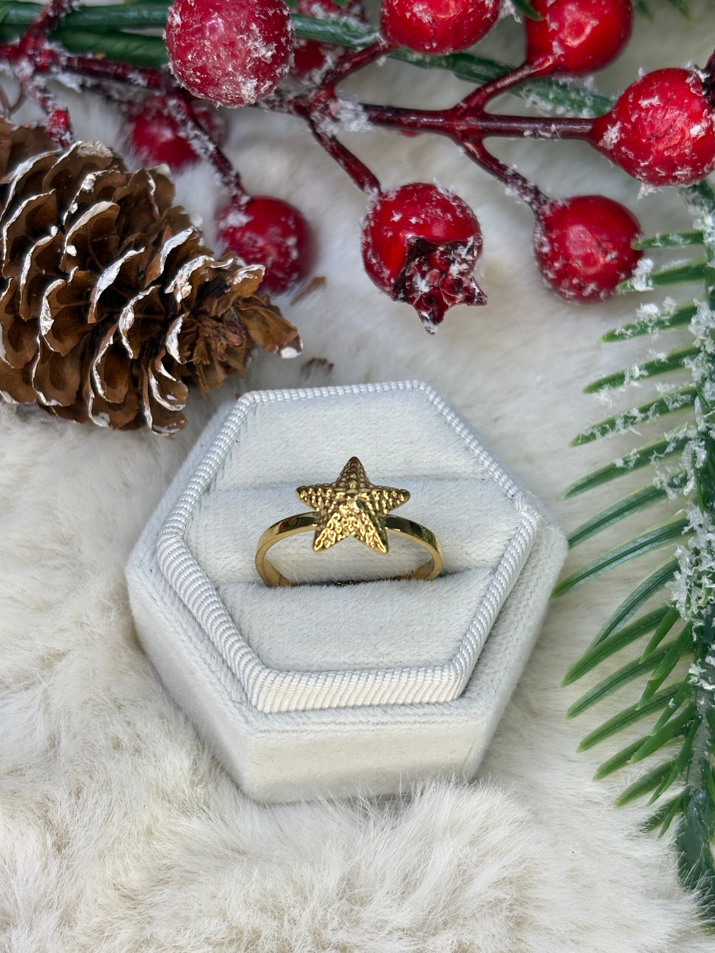 Seestern Verstellbar