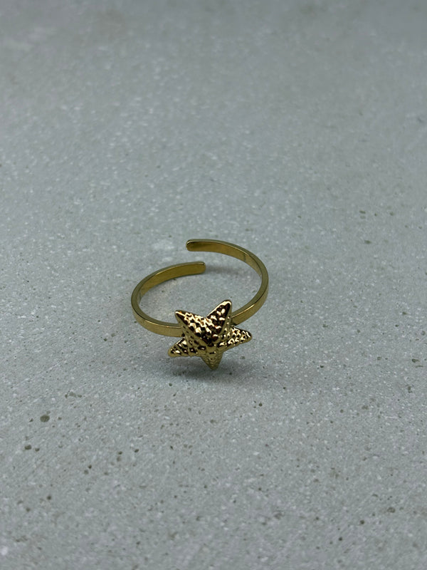 Seestern Verstellbar